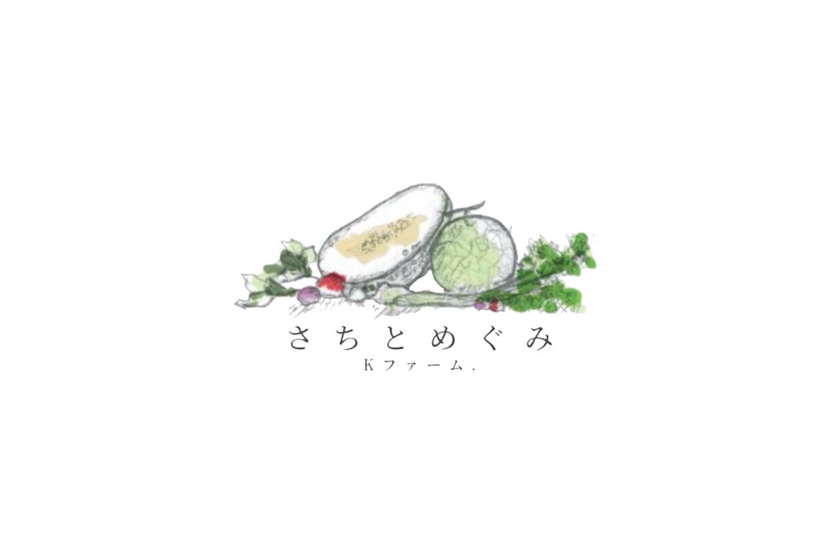 Image画像