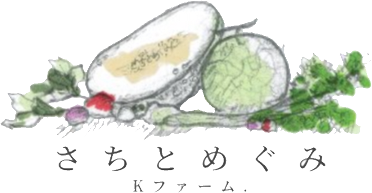 loader image